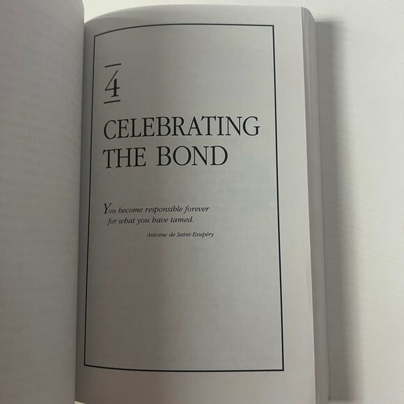 Chicken Soup For The Pet Lovers Soul - Picture 2 of 5